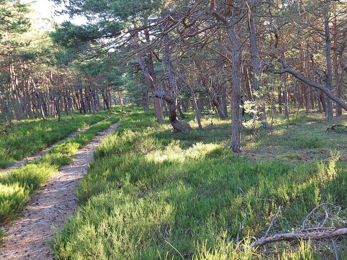 הוילה Czysta Greyowka Dom Kryty Strzecha W Gardna Park מראה חיצוני תמונה