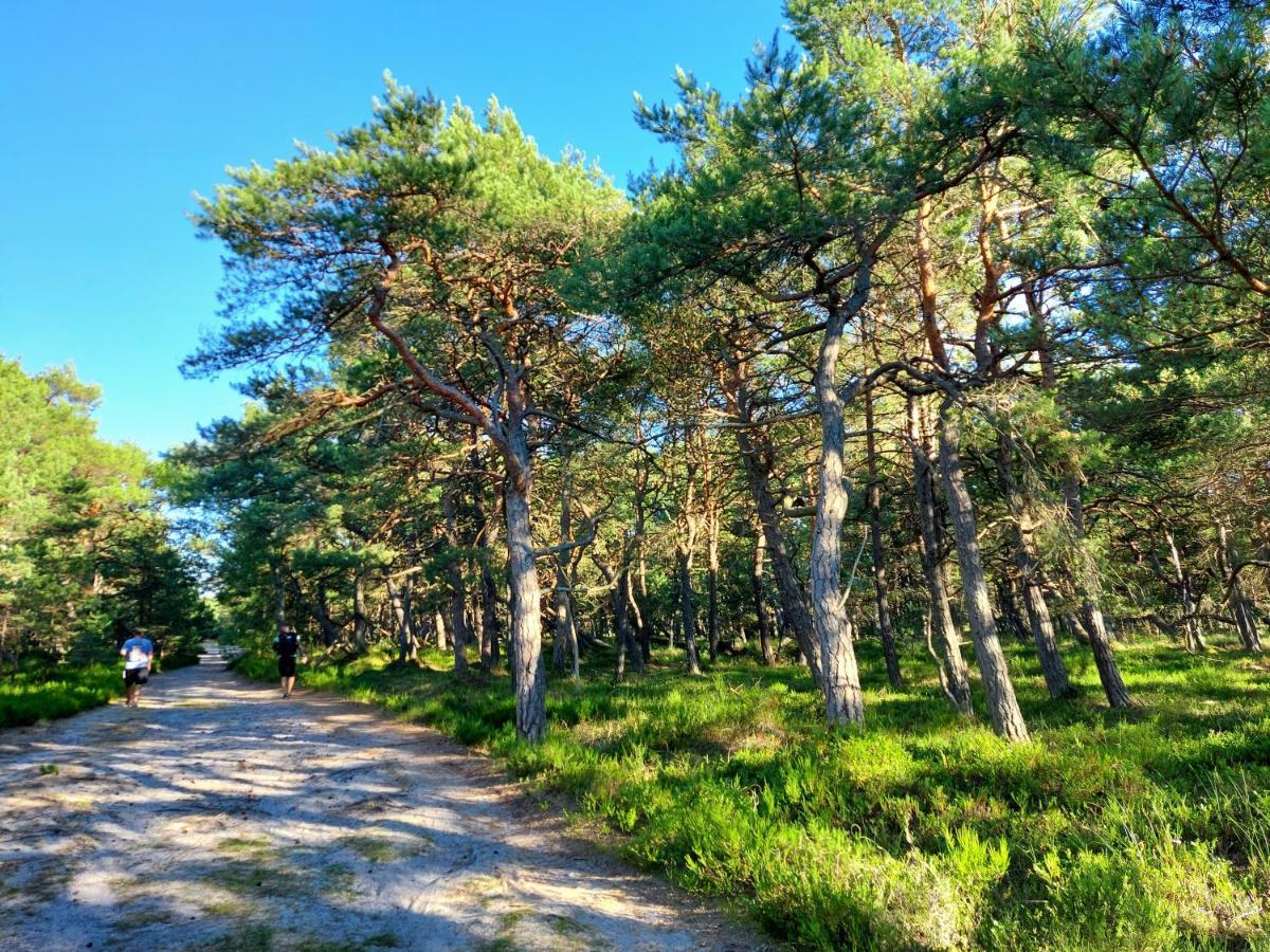 הוילה Czysta Greyowka Dom Kryty Strzecha W Gardna Park מראה חיצוני תמונה